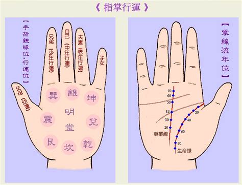 掌相分析|手相图解大全